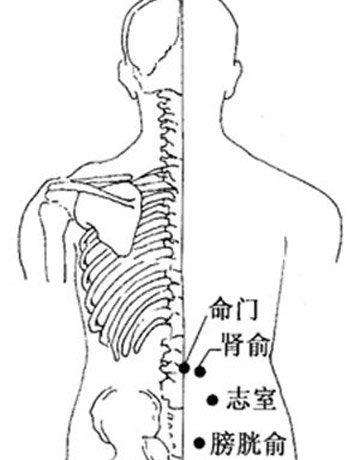 脊椎指压师能帮助病人戒烟吗？NDSU的研究表明这是可能的