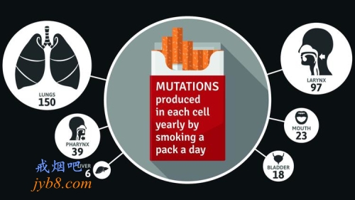 吸烟每年都会导致DNA突变，使癌症更可能