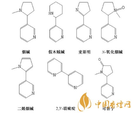 吸食雪茄为什么会有愉悦感 雪茄烟叶含有的物质分析