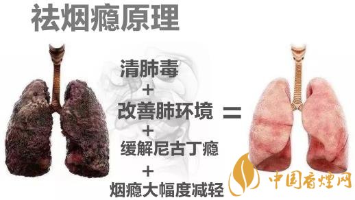 戒烟后关键在于清肺排毒 才能快速清肺里的烟毒！