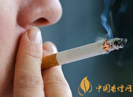 吸烟者想要排肺毒滋养肺部 必须做好四个坚持！