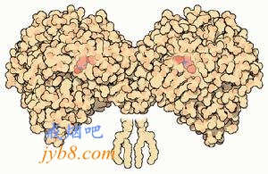 美国FDA批准的阿尔茨海默氏病药物可以帮助戒烟