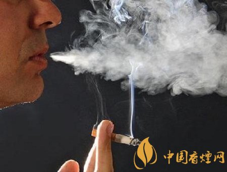 你不知道的吸烟危害 香烟不仅伤肺还伤胃！