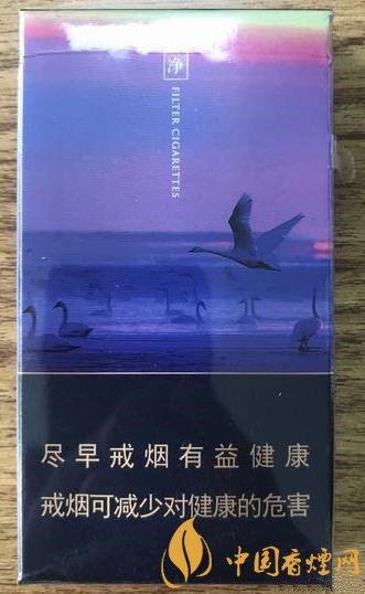 娇子青海湖纯净多少钱一包 青海湖纯净价格及图片介绍