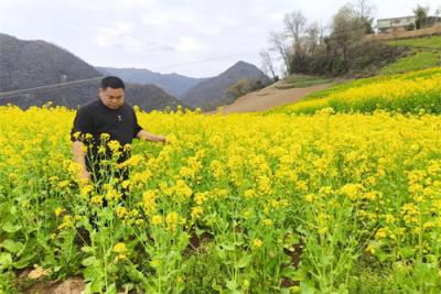 热点讨论！香烟厂家一手货源批发代理“人生如梦”