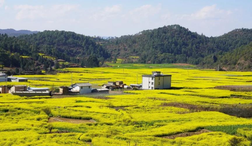 来袭！高仿香烟批发厂家“横生枝节”