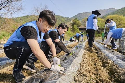 深入解析乌普曼皇家罗布图探索独特烟草文化与创新工艺的融合