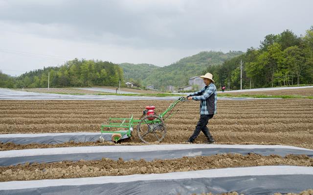 惊现！香烟厂家一手免税香烟国内香烟批发“不露声色”