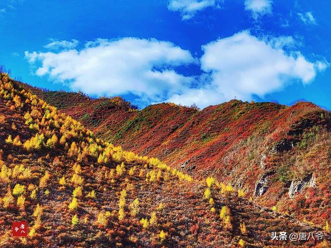 头条！国烟一手货源厂家“漫山遍野”